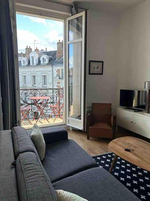 ~Rosa Bonheur~Hyper Centre Apartment Blois Exterior photo